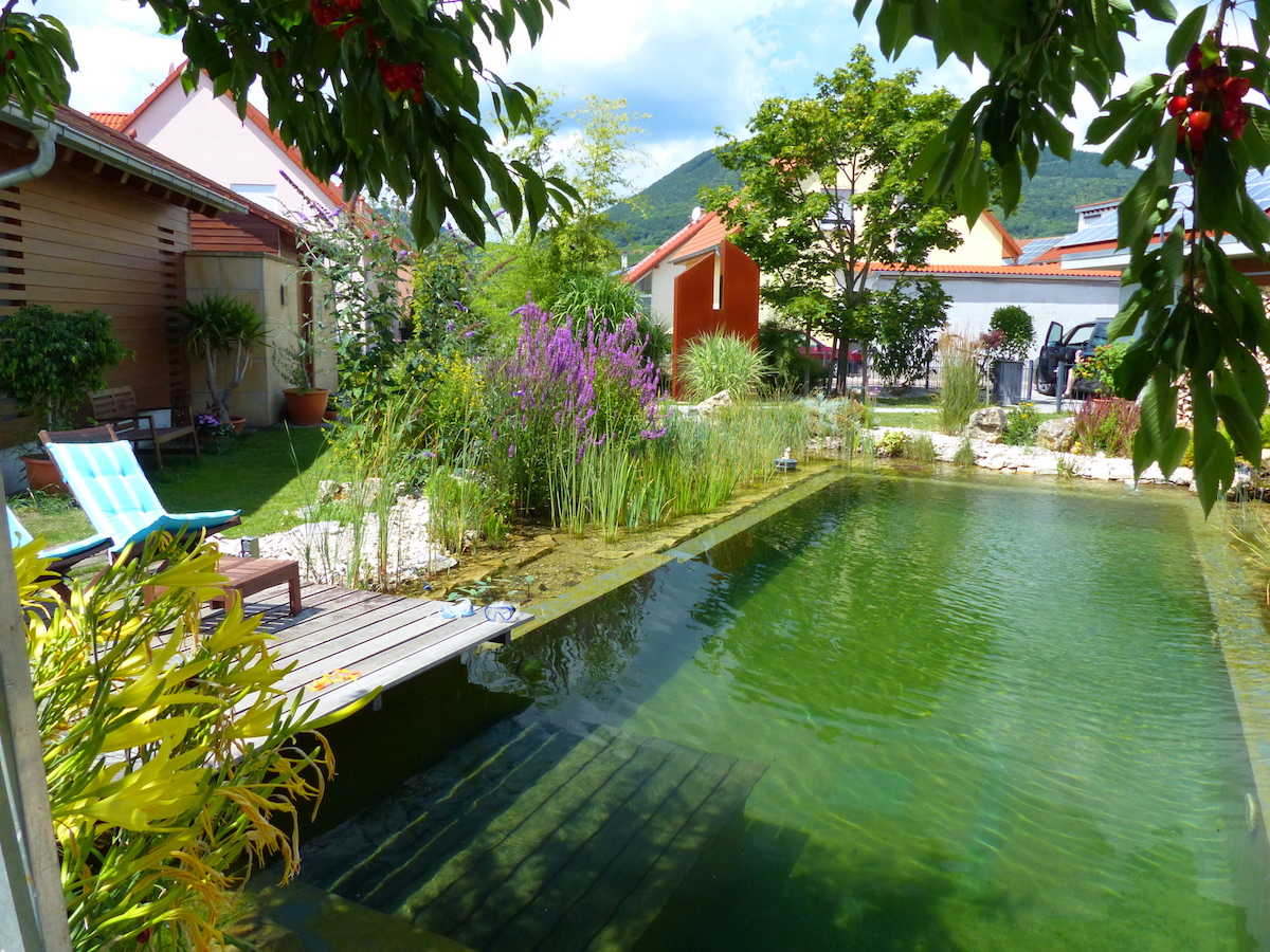 Teiche Nothnagel Teich & Gartenbau Ihr TeichProfi Schwimmteiche